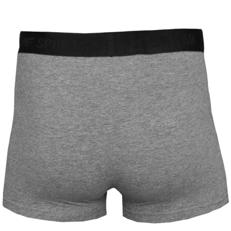 Mens 4F Boxer Briefs - Comfort Fit, Breathable Underwear